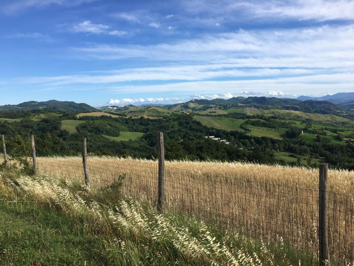 La Palazzina Di Ciagnano Villa Ozzano dell'Emilia Bagian luar foto