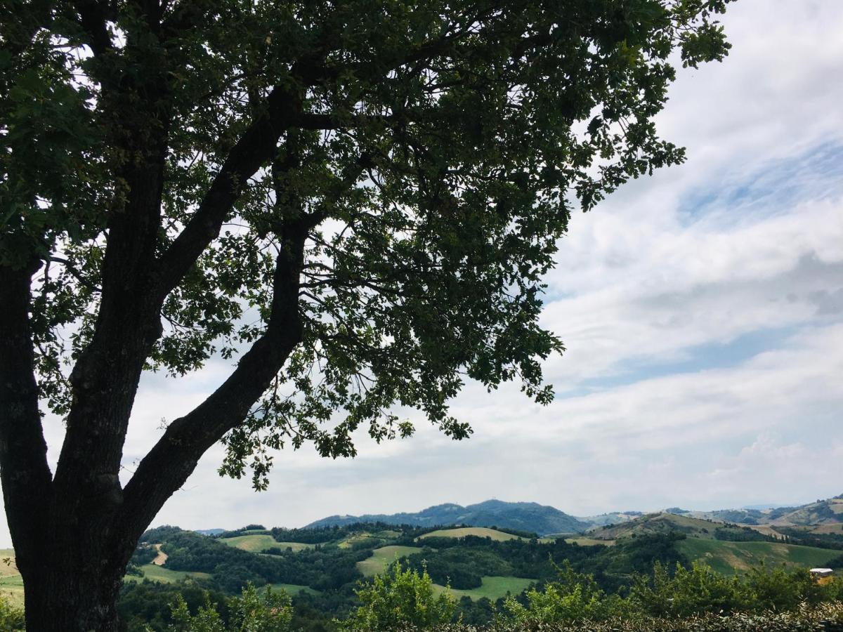 La Palazzina Di Ciagnano Villa Ozzano dell'Emilia Bagian luar foto