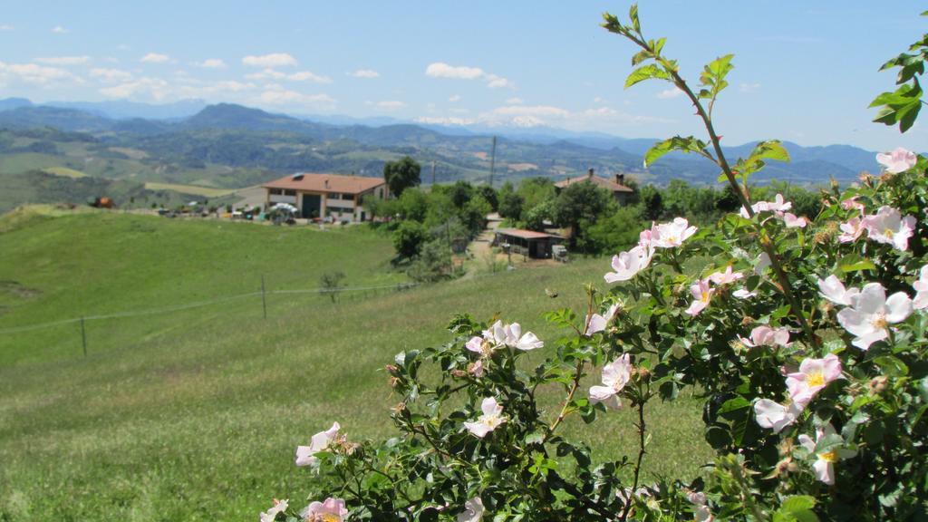 La Palazzina Di Ciagnano Villa Ozzano dell'Emilia Bagian luar foto
